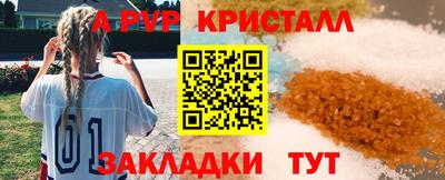 спайс Тара