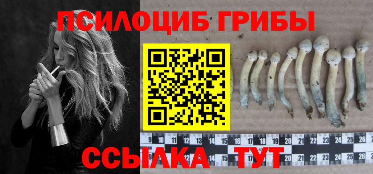 Псилоцибиновые грибы MAGIC MUSHROOMS Будённовск
