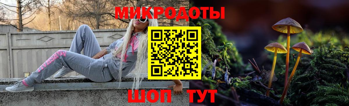 Будённовск  Галлюциногенные грибы Cubensis  Вход с VPN 
